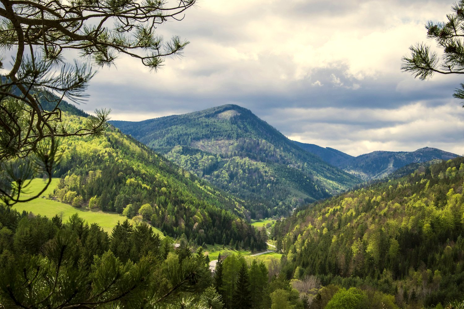 Blick über die bewaldeten Hügel des Helenentals