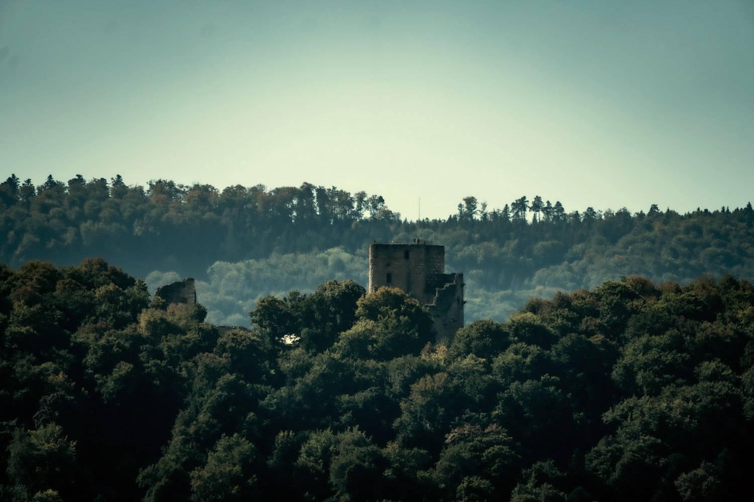 Burgruine über den bewaldeten Hügeln des Helenentals